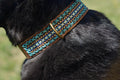 Dog Collar - Pacha
