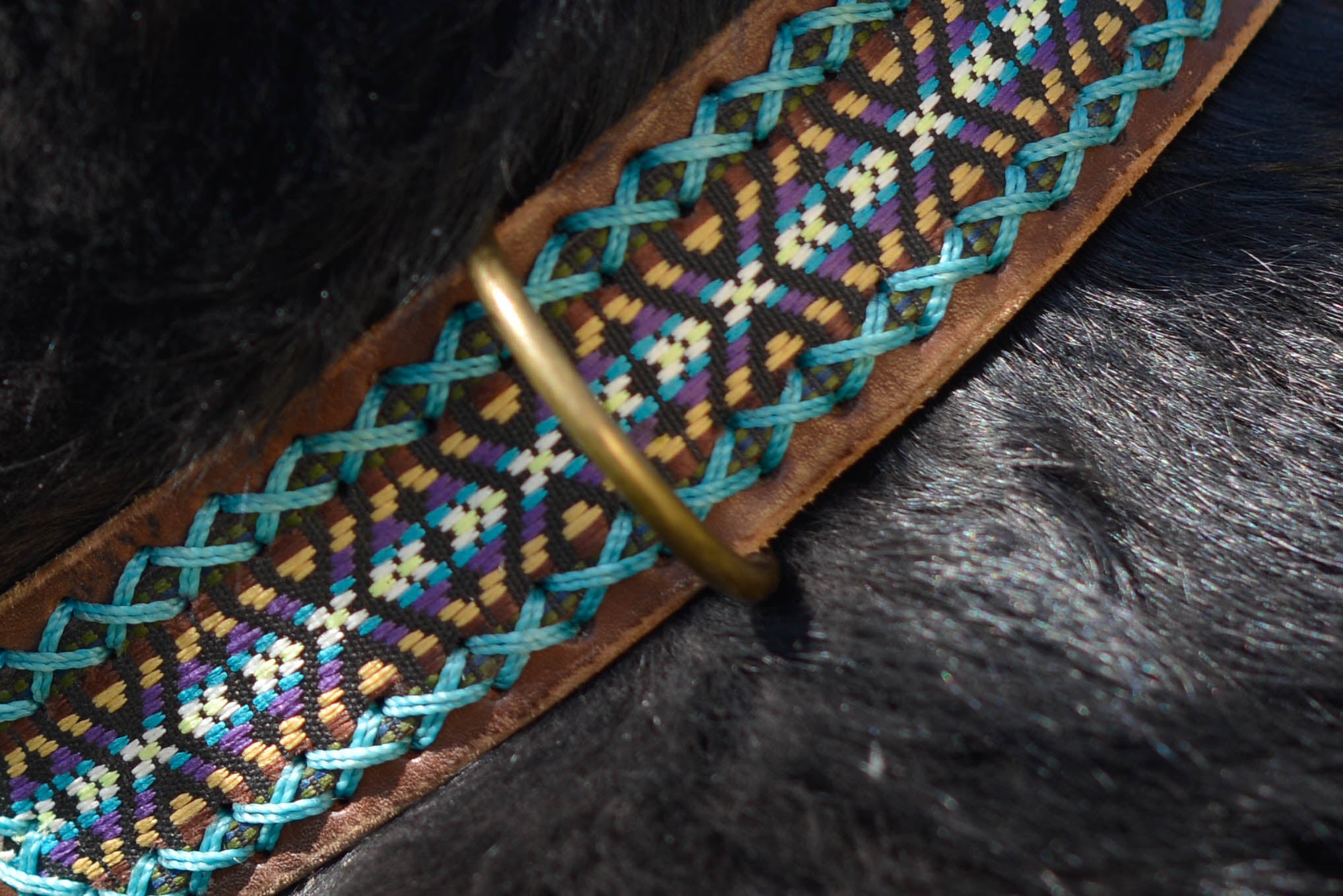 Dog Collar - Pacha